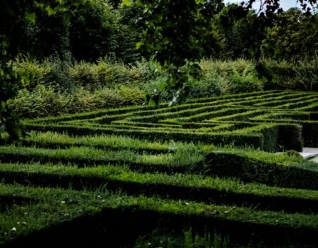 Crossing Borders: The Legal Landscape for Cryptocurrencies and Regulatory Challenges