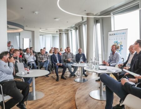 From Transparency to Impact: The Role of Non-Profits in Advancing Blockchain Solutions