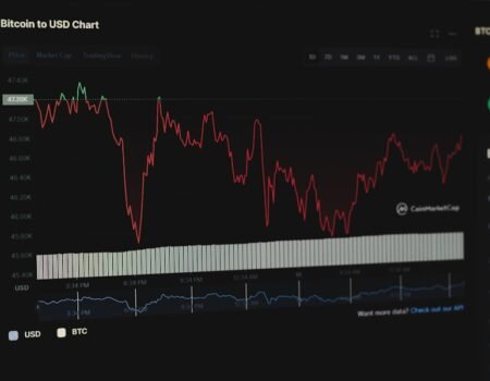 Mastering the Art of Timing: How to Navigate Market Cycles in Cryptocurrency Trading