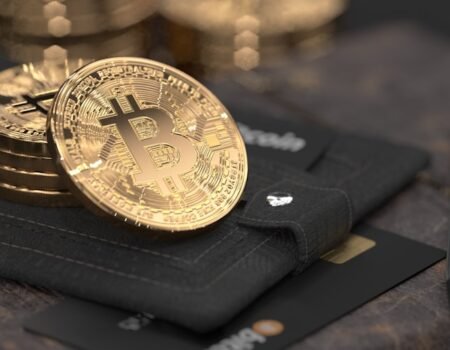 Uncovering the Potential of Crypto-Lending Platforms in the Digital Economy