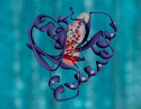 From Hype to Hope: How to Separate the Best DeFi Projects from the Rest